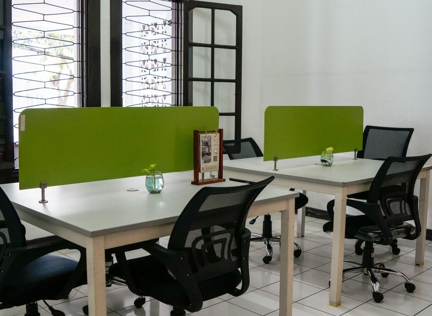 Neat and modern co-working office space featuring green dividers and ergonomic chairs.